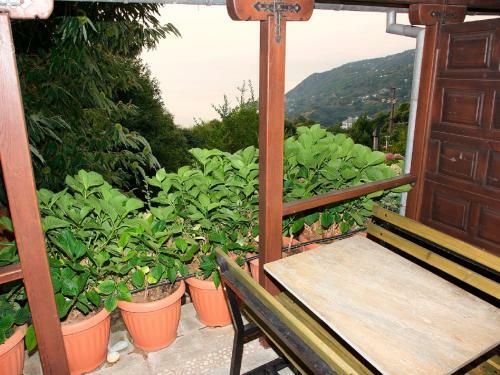 Hostal Villa Aglaini