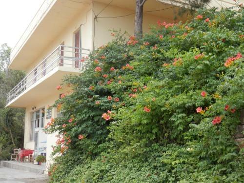 Apartamento Lefteris Rooms