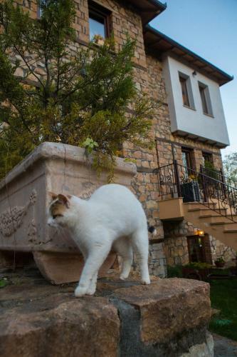 Hostal Archontiko Emmanouilidi Suites