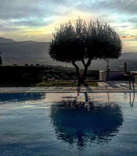 Villa Malvazia