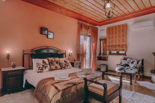 Hostal Etheres Tzoumerkon Mountain Resort