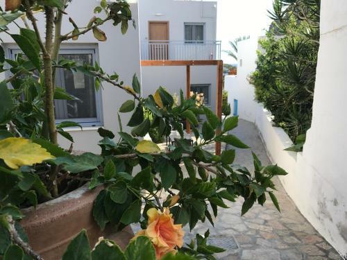 Apartamento Athina Residence