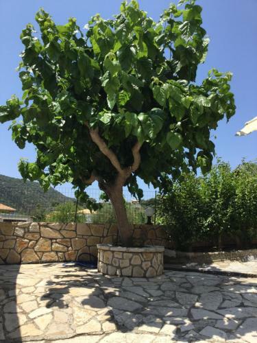 Apartamento Filoxenia Kontogiannis