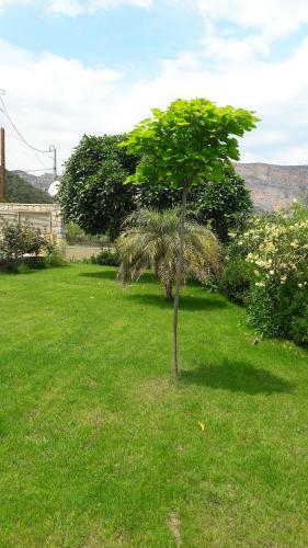 Apartamento Karantonis House