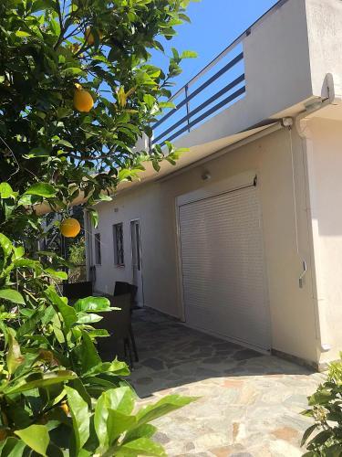 Lemon House