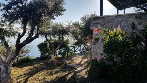 Apartamento Castle Vigla
