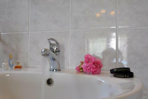 Apartamento Golden Fox Studios And Suites