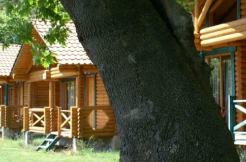 Hotel Dionysus Village Resort