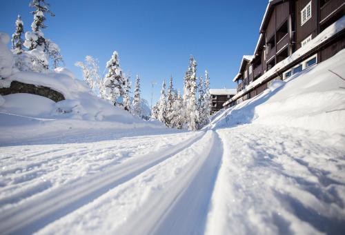Apartamento Gaustatoppen Booking