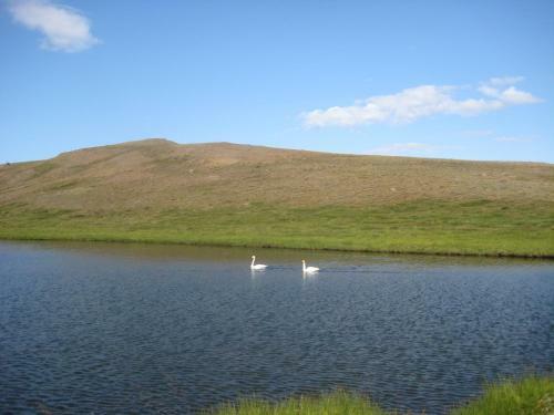 �sbrandsstadir Cottage