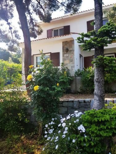Villa Eleonas
