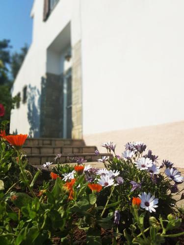 Villa Eleonas