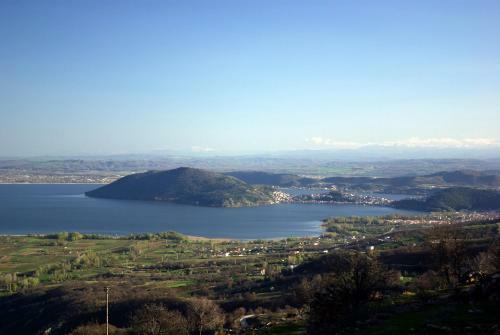Hostal Petrino Pentolvio