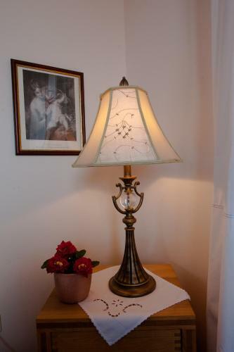 Hostal Petrino Pentolvio