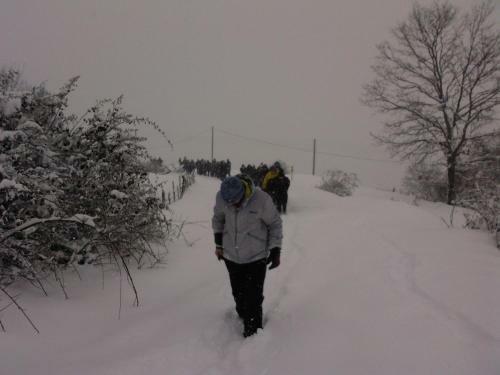 Hostal Petrino Pentolvio