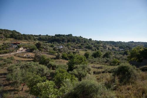 Alexandros Apartments