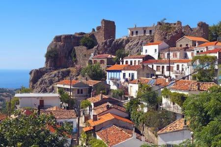 Vasilis House