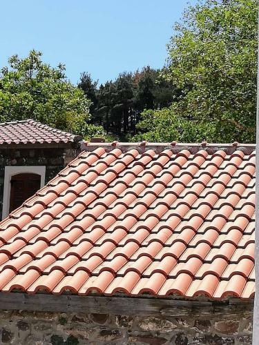 Vasilis House