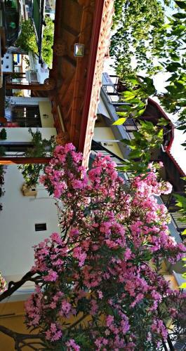 Hostal Skotina Rooms