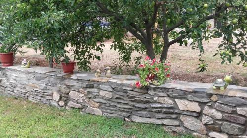 Apartamento Studios Elianthos
