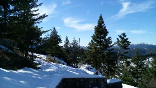 Villa Relax In Mainalo