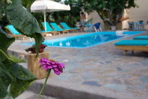 Hotel Vila Vivari