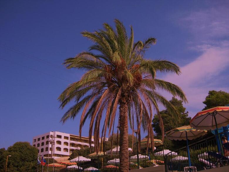 Hotel Romantza Mare