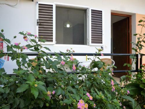 Kostas Apartments & Studios