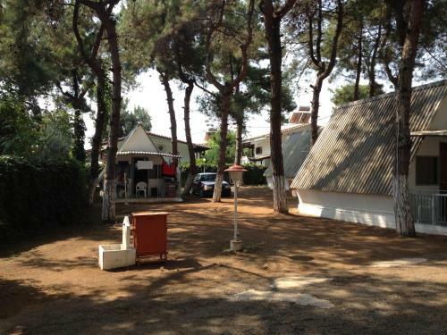 Olympos Beach