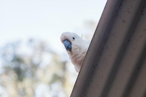 Eildon Pondage Holiday Park