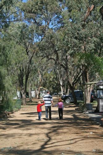 Kingston-on-murray Caravan Park