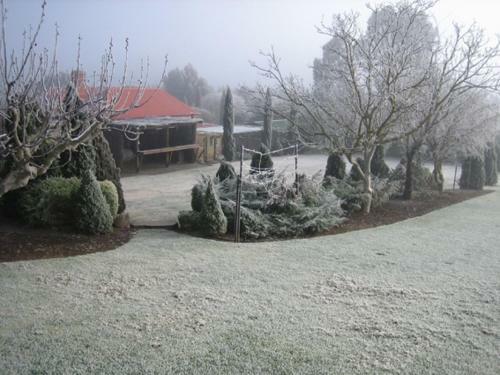Bed & Breakfast Vineyard Cottage Bnb