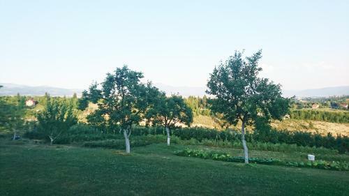 Villa Ru?a Vjetrova