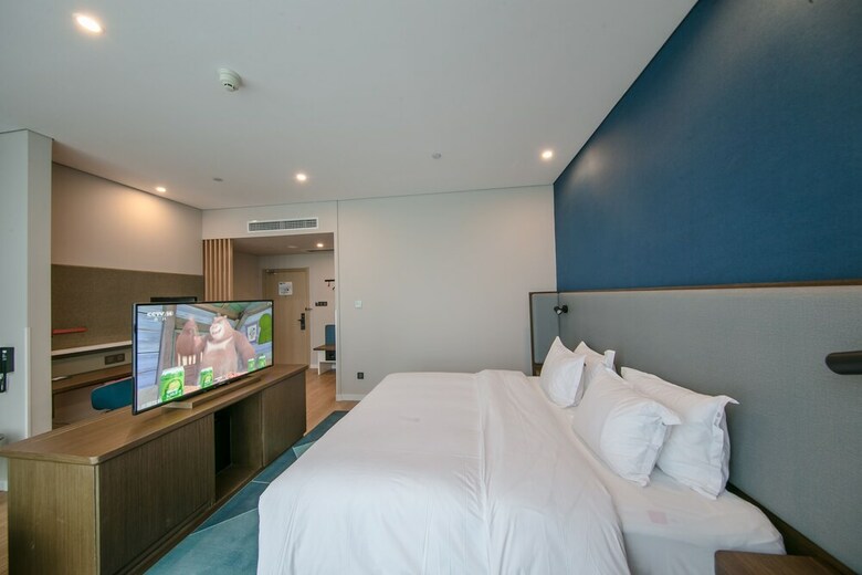 Hotel Holiday Inn Express Hefei High Tech