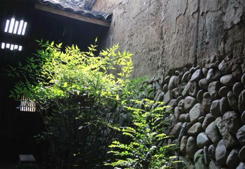 Jinshuiloutai Homestay
