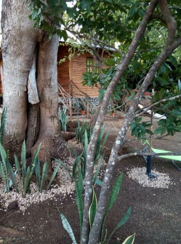 Caba�a Vista Del Guanacaste