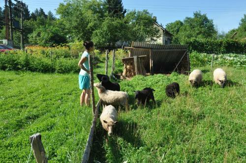 Agroturismo ?k�rkovic Statek