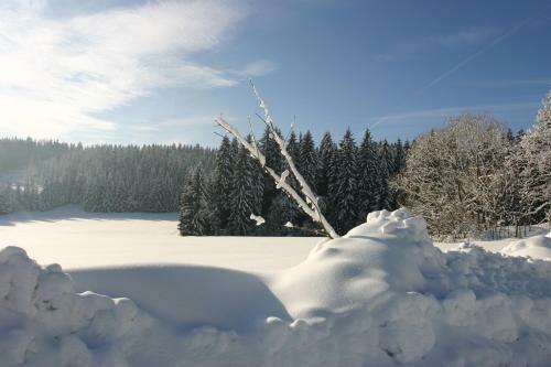 Lodge Jeleni Chata Skladanka
