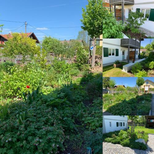 Apartamento Urlaub In Andechs Appartements