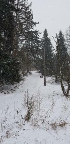 Lodge Chata Na Kov�rn?