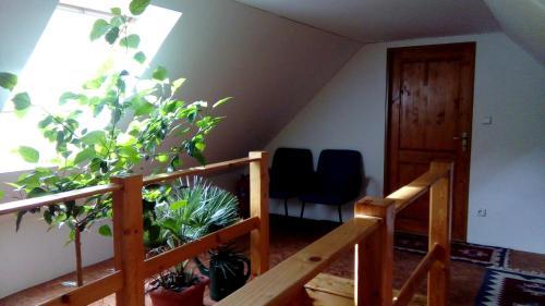 Hostal Penzion Edel?tejn