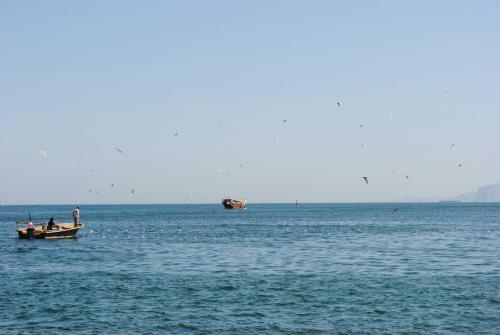 Hotel Atana Khasab(previously Golden Tulip)