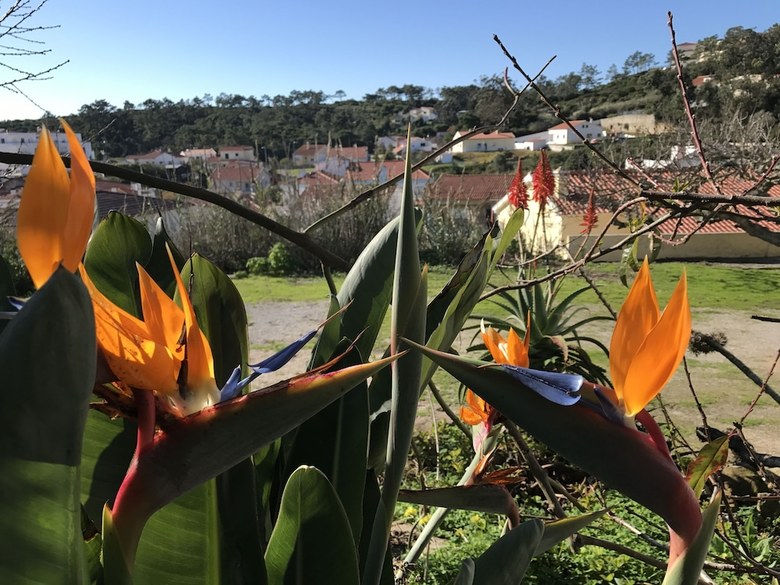 Bed & Breakfast Porto Monte