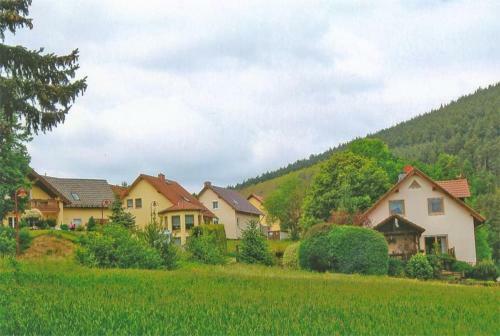 Apartamento Ferienwohnung Uhlstaedt_kirchhasel