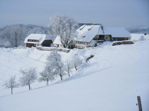 Apartamento Brosihof