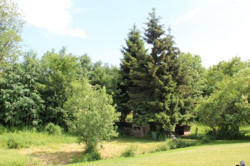 Hostal Pension Zur Quelle