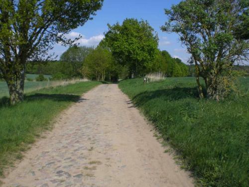 Apartamento Ferienwohnung Crussow Uck 1101