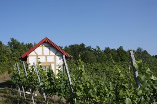 Hotel Schwarzer Adler