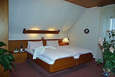 Hostal Gasthaus Zum Rothenberg