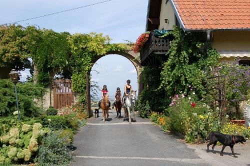 Apartamento Ferienwohnungen Lindleshof